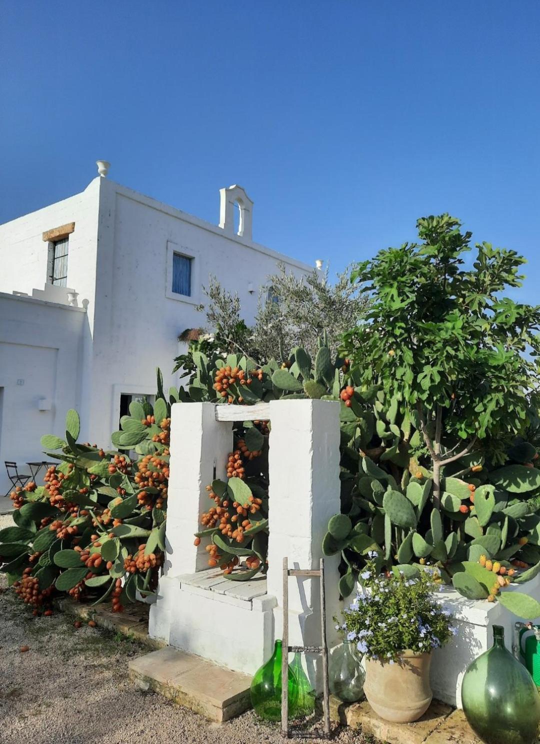 Masseria Fulcignano Ґалатоне Екстер'єр фото